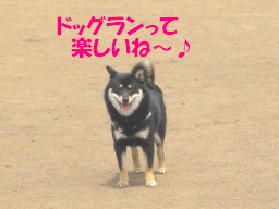 c0185516_1535356.jpg