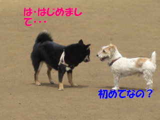 c0185516_15431368.jpg