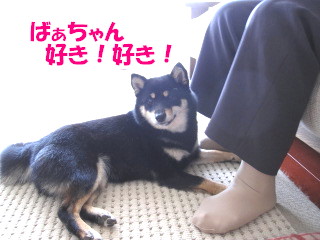 c0185516_1552183.jpg