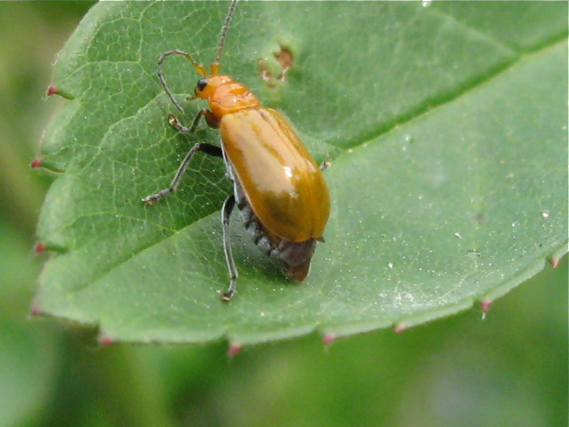 f0128316_805647.jpg