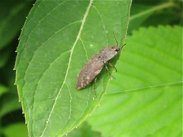 f0128316_86741.jpg