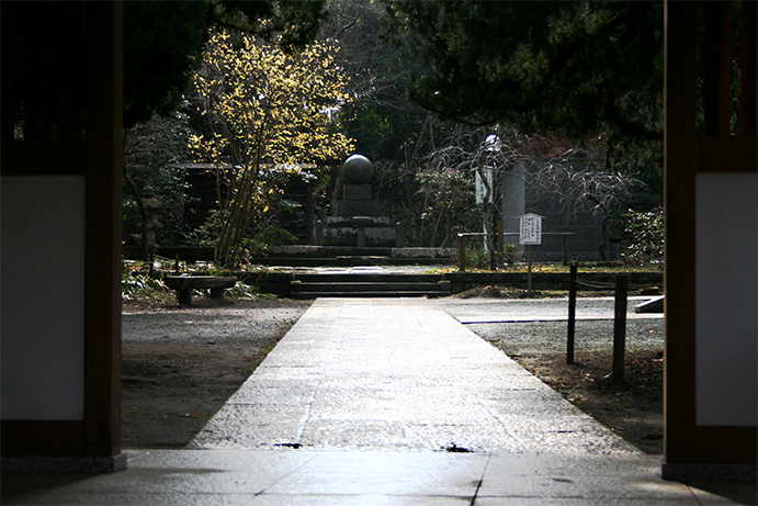 f0107517_1033910.jpg