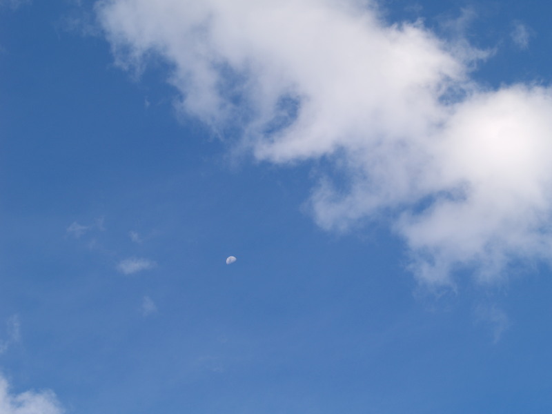 b0168218_117547.jpg