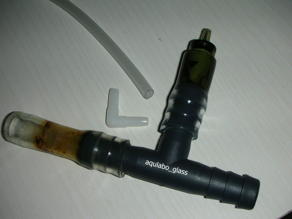 c0190119_974410.jpg