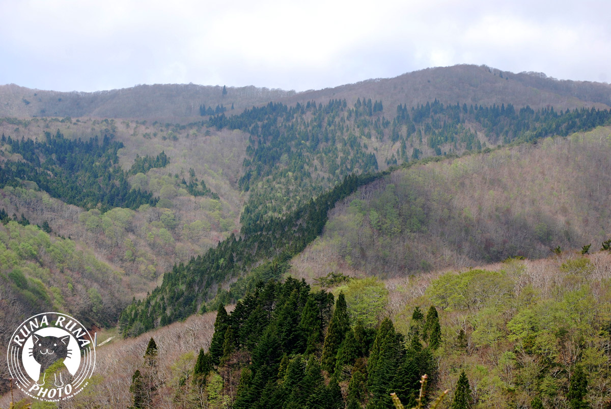 b0118920_17564262.jpg