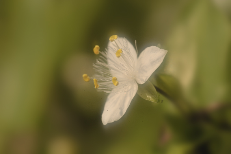 a0059621_21287100.jpg