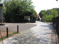 f0065126_1313782.jpg