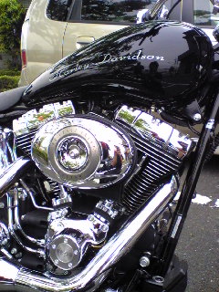 a0099129_17535757.jpg