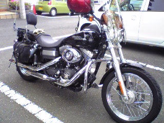 a0099129_189226.jpg