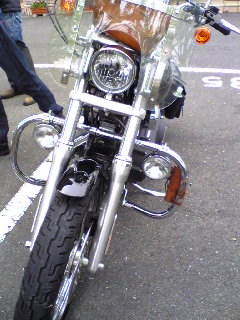 a0099129_189325.jpg