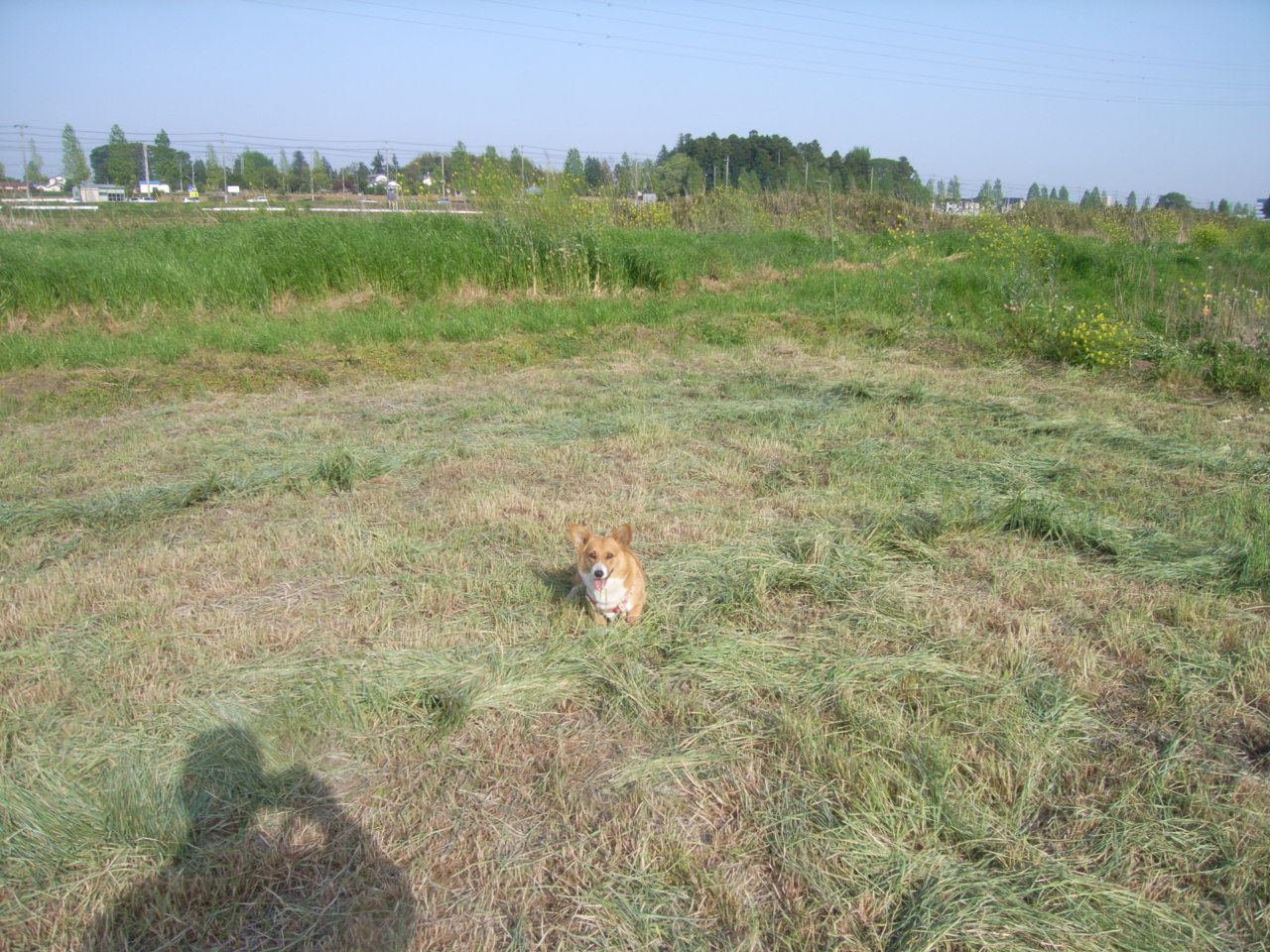 b0164132_21302554.jpg
