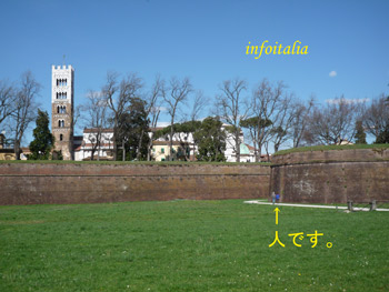 c0077533_2221650.jpg