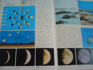 e0062233_14362862.jpg