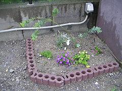 f0202633_1610722.jpg