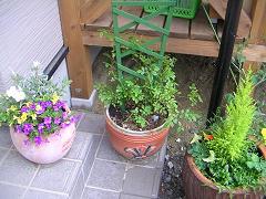 f0202633_1695242.jpg