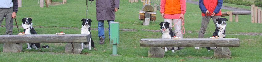 d0069235_0391472.gif