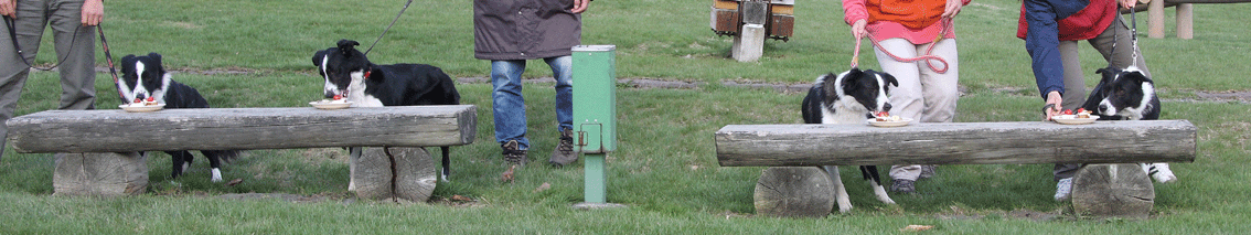 d0069235_0395921.gif