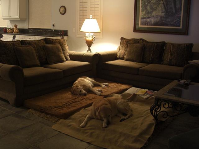 d0115035_1532611.jpg