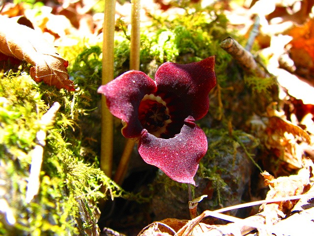 b0097836_15263842.jpg