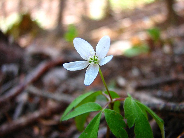 b0097836_15274182.jpg