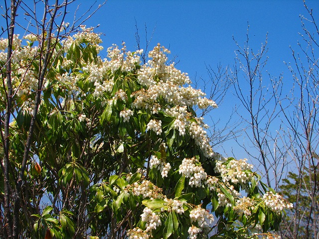b0097836_15301690.jpg