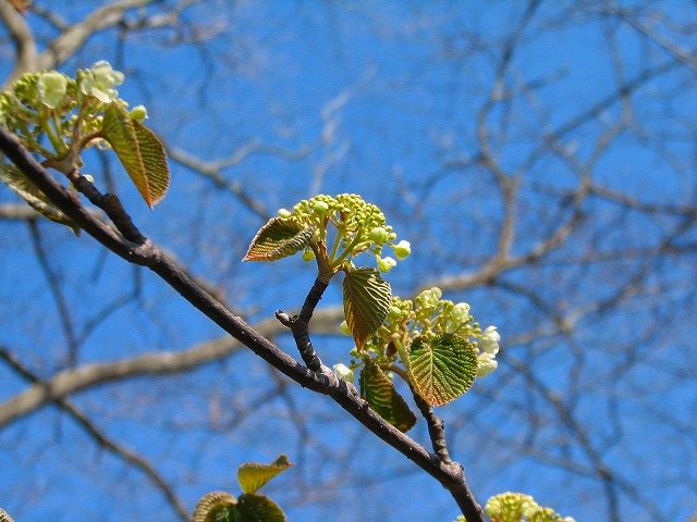 b0097836_1531453.jpg