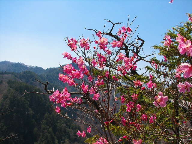 b0097836_15324626.jpg