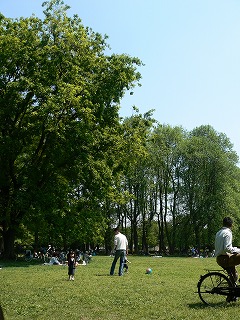 d0107336_3341574.jpg