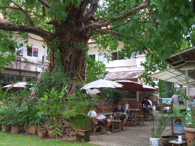 b0128737_1613321.jpg