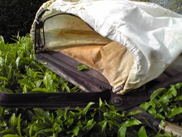 c0023937_2229021.jpg