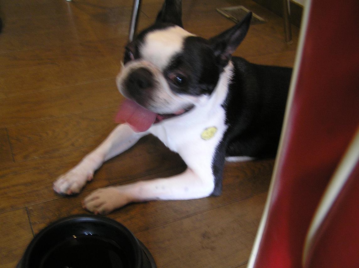 c0106039_21292554.jpg