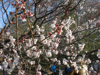 b0001440_21301862.jpg