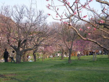 b0001440_21305025.jpg