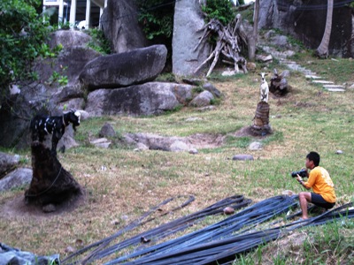 e0027447_1382167.jpg