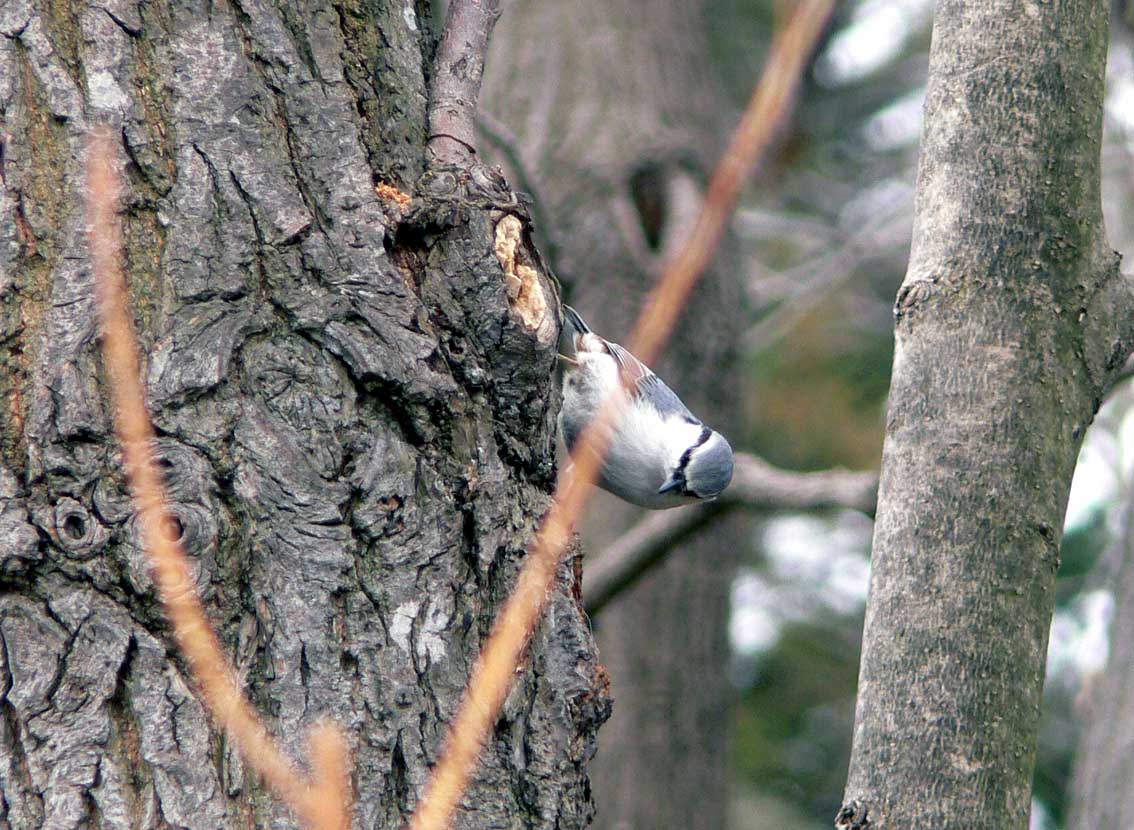 f0027355_014956.jpg