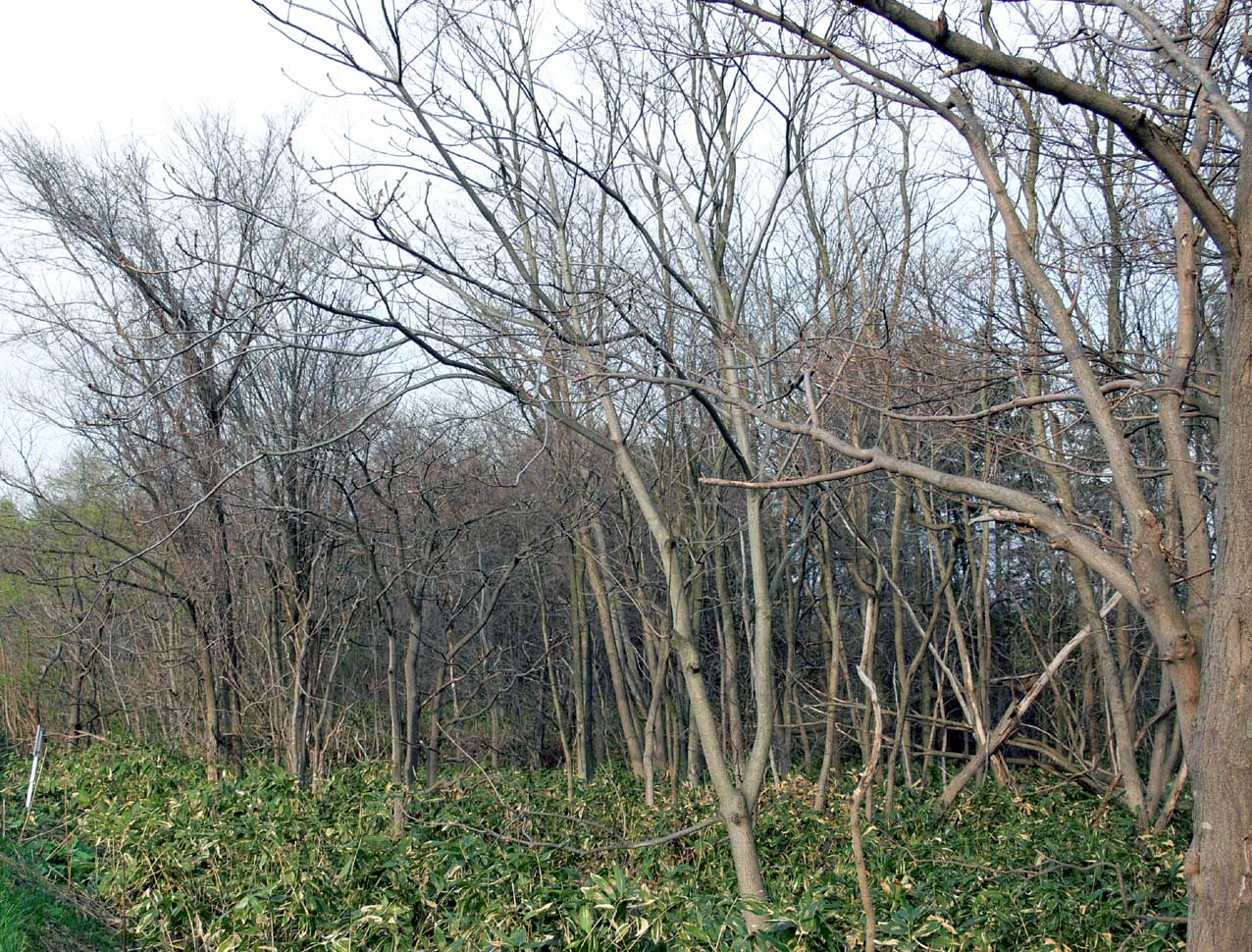 f0027355_0255197.jpg