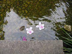 e0098256_20123639.jpg