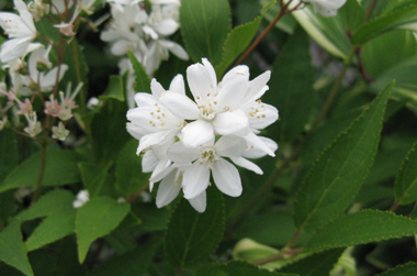 e0098256_20125975.jpg