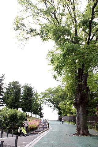 e0129656_20594724.jpg