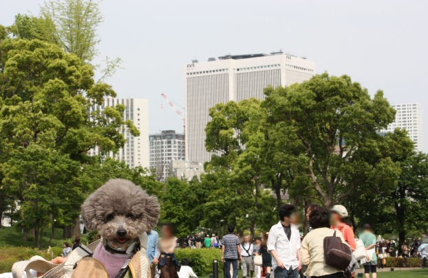 e0129656_21194.jpg