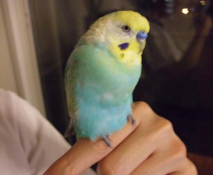 f0149057_0534621.jpg