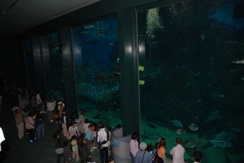 d0131061_22265264.jpg