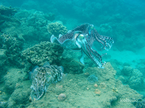 b0062363_2140090.jpg