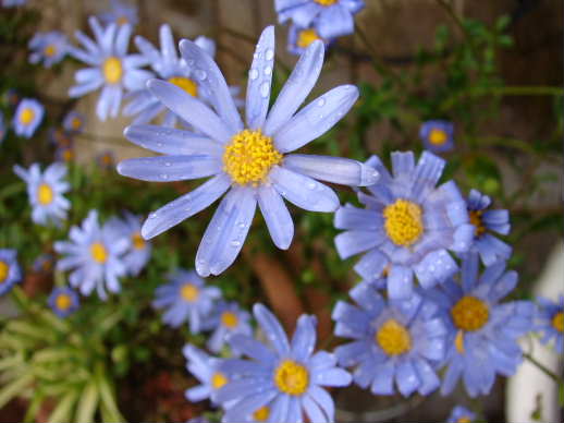 e0125465_15392616.jpg