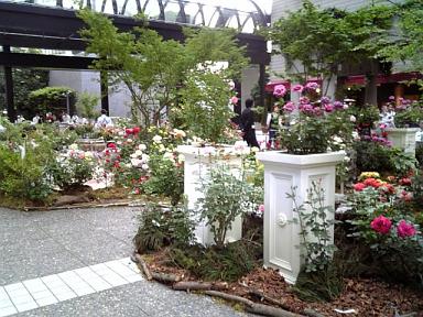 c0102268_19265555.jpg