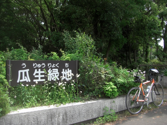d0132969_1942218.jpg