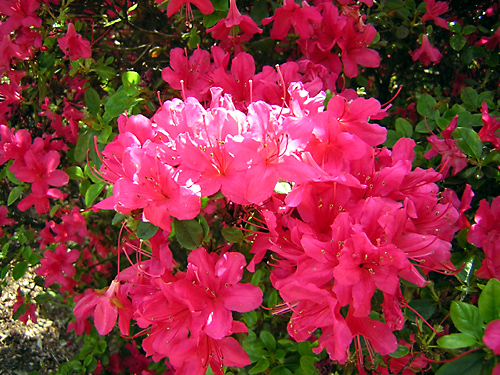 e0081370_023543.jpg