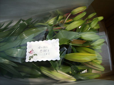 e0097770_1391330.jpg
