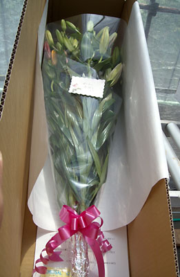 e0097770_1392484.jpg