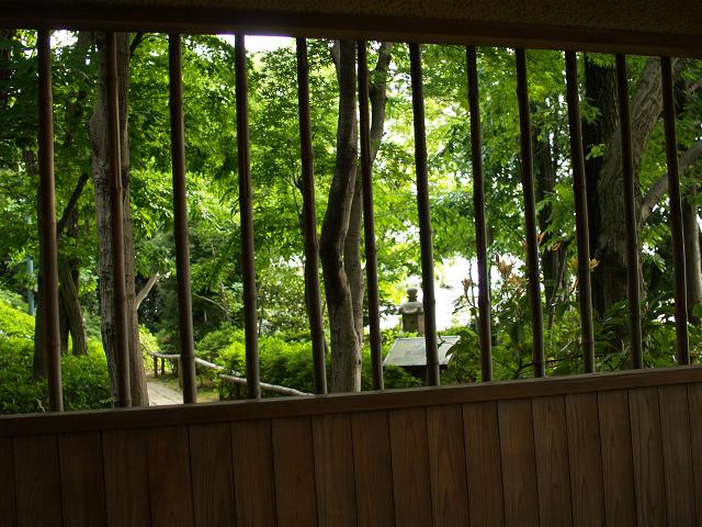 e0078071_2015425.jpg